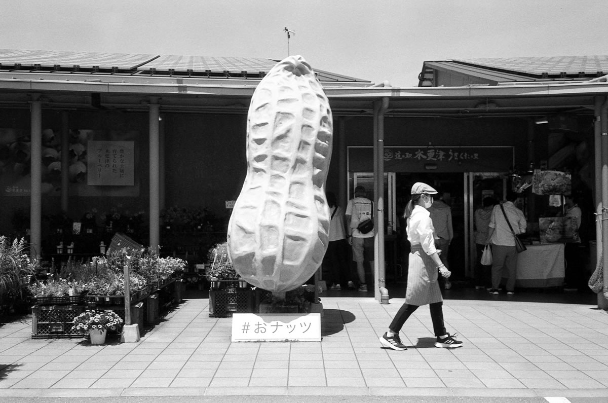 木更津の道の駅｜Rollei 35S + Fomapan 400 Action