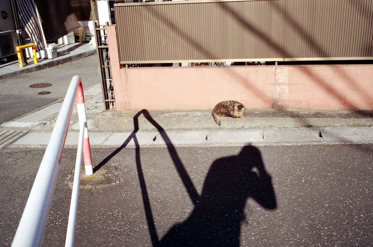 Leica M3 + Summicron 35mm f/2 Goggles + KODAK Color Plus 200