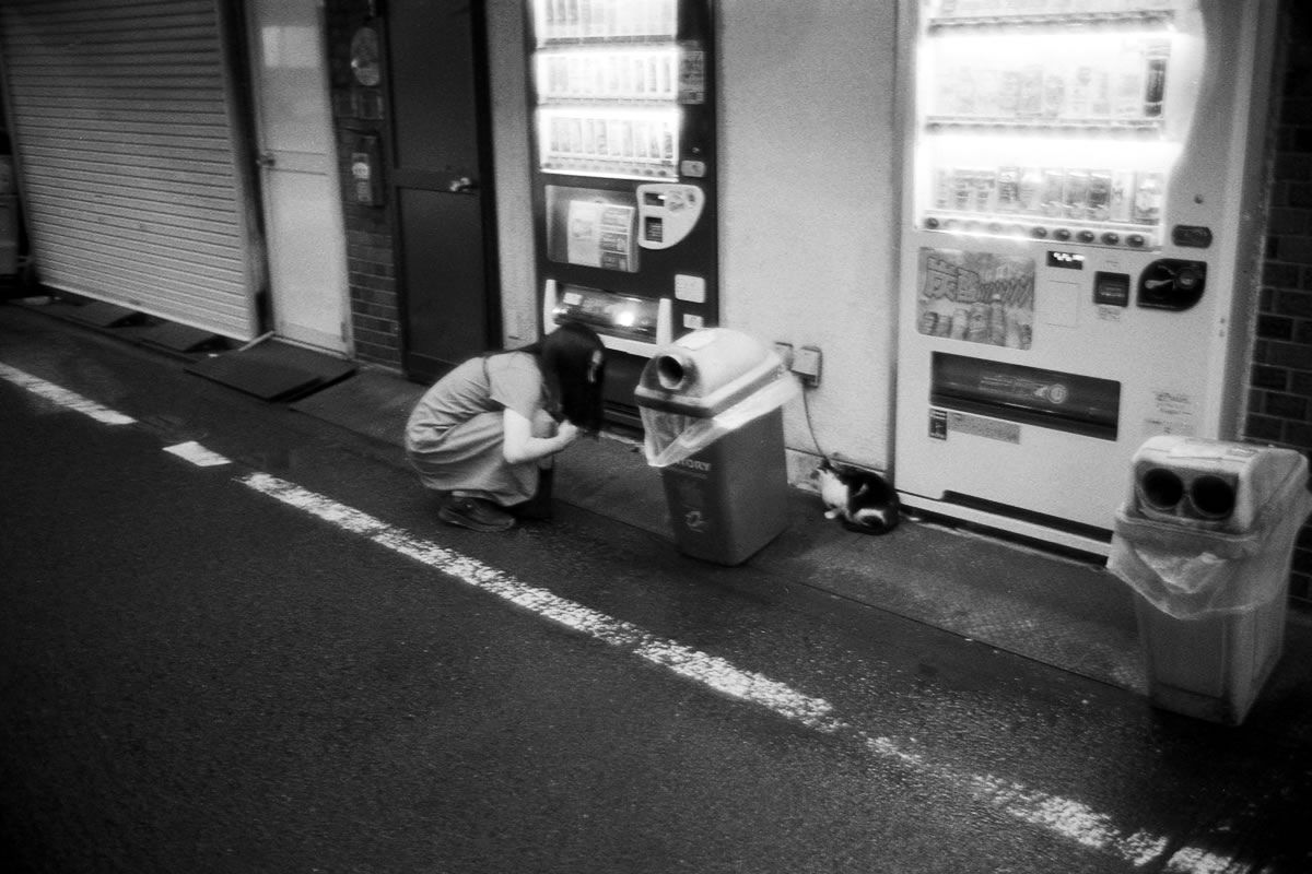 この子はビビりながらも逃げない｜Leica M5 + Summilux 35mm f1.4 + Marix 400