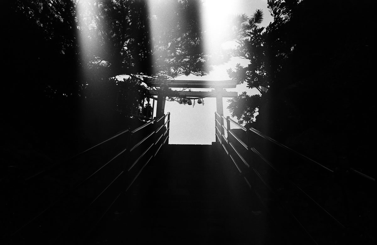 海津見神社の鳥居｜Leica M5 + Summilux 35mm f1.4 + Marix 400