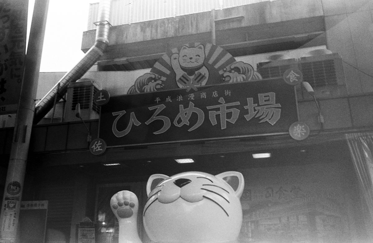 ひろめ市場は猫が目印｜Leica M5 + Summilux 35mm f1.4 + Marix 400