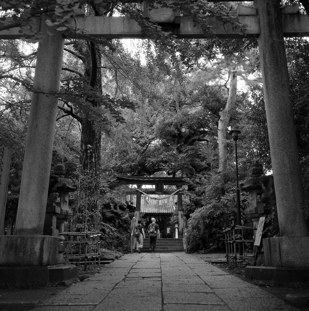 長崎神社｜ROLLEIFLEX 3.5F + Kentmere 400