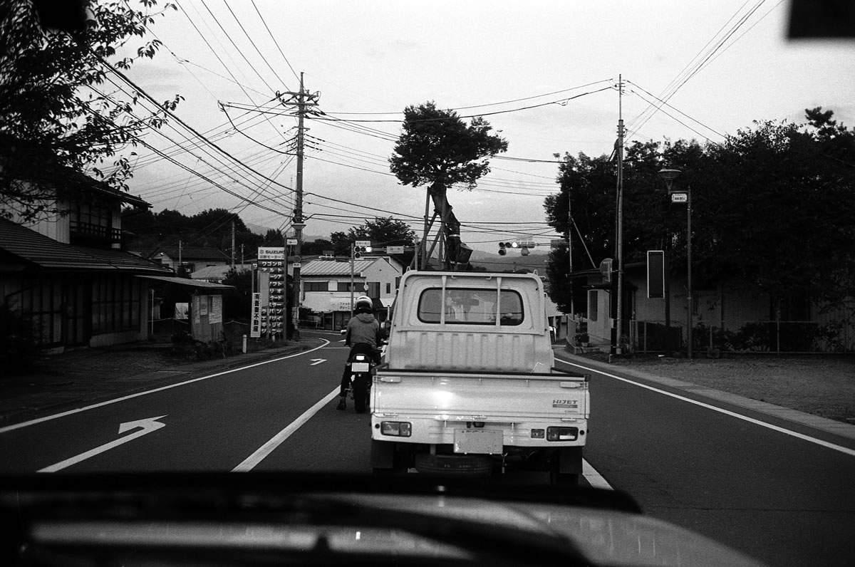 道のど真ん中に立つ1本松（？）｜Rollei 35S + MARIX 400